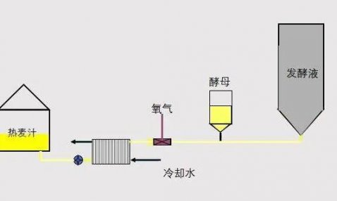 啤酒發(fā)酵工序操作規(guī)程